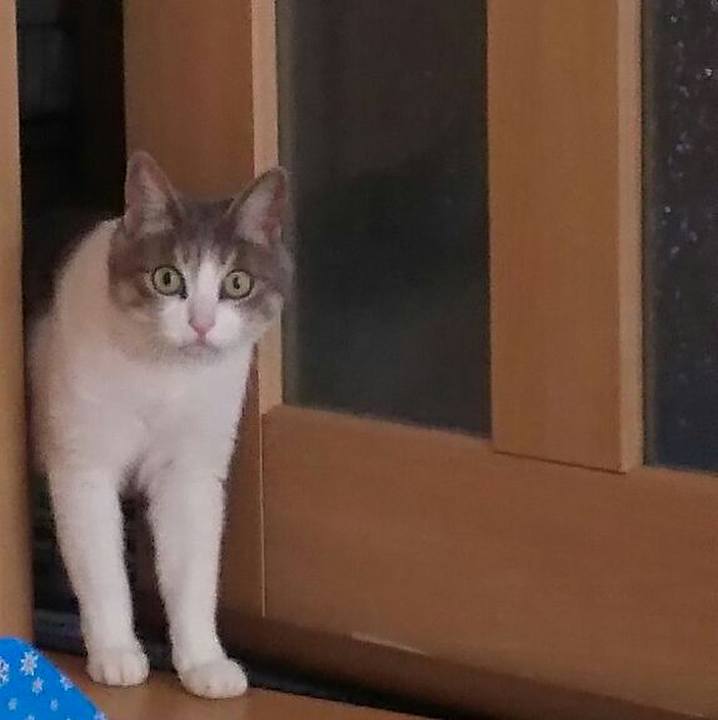 36ca18b6 ccaa 4664 bd49 eda5cd9d21d4