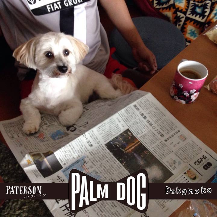 36ca4cd2 6be1 408c 8e77 f3a3c9879456