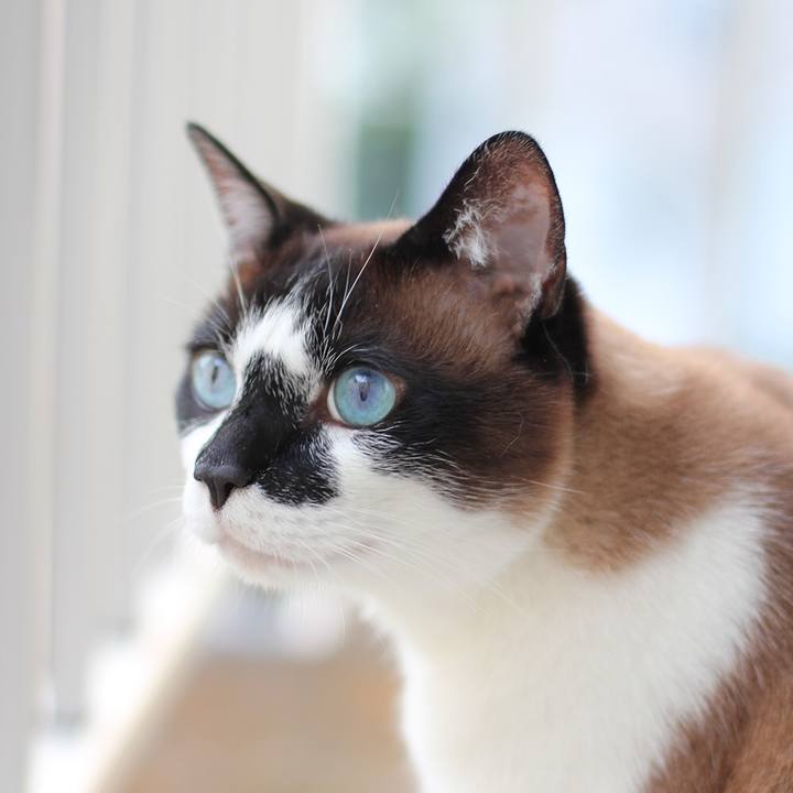 36caf6e8 1ae7 4cc9 9da6 daf27b6403bb