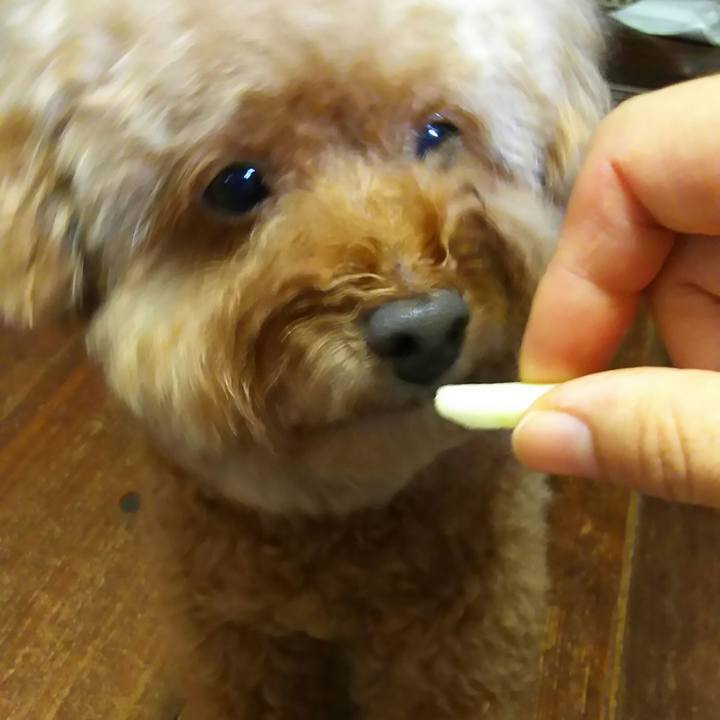 36cb9dbe 81a2 4aef 9ec0 b7a87b47612a