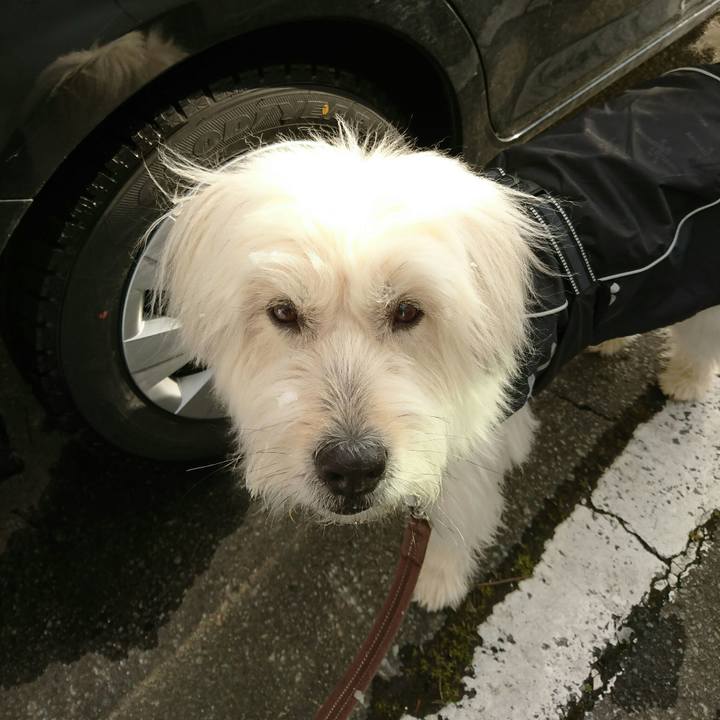 36ccc5de f43b 4ddc a467 32f880a7332a