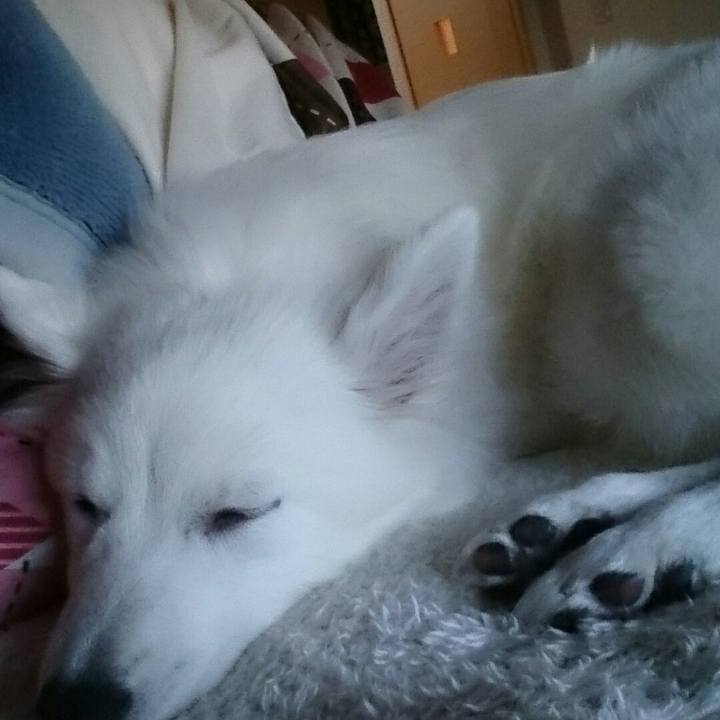 36ccdbe7 a2e6 4d3f b55d fa5d8f0b11df