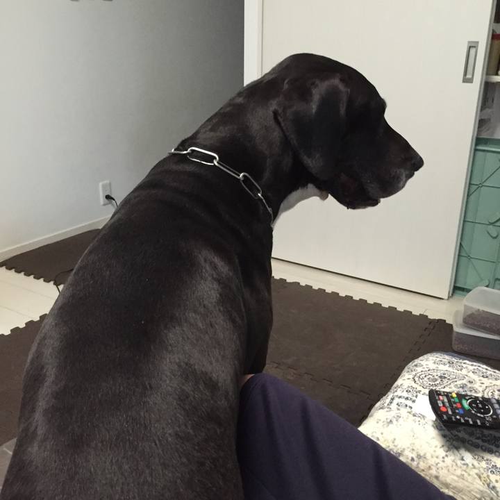 36cced7a 6621 4ad2 ab9a 0cd3366615b7