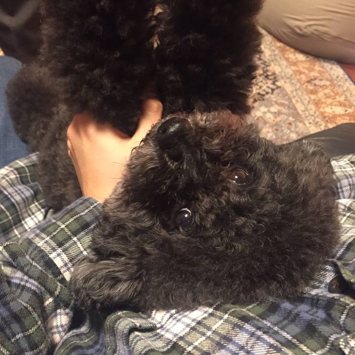 36cdcac7 daf8 40c2 9f9f 022fe97b6b93