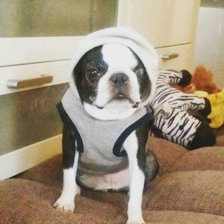 36ce1953 b3e0 4dfa 8299 d1024a5f2cf7