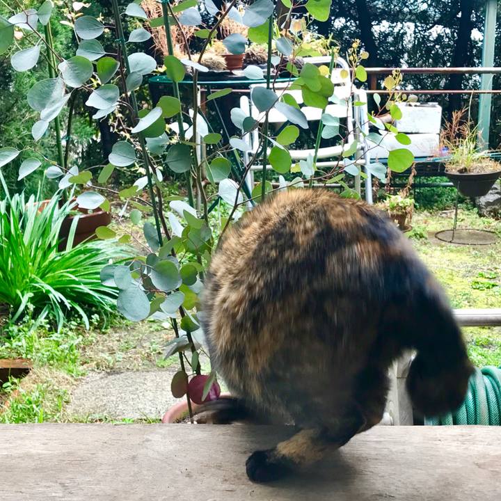 36ce7d9d 912e 46f9 a546 93c5cdbd93a8