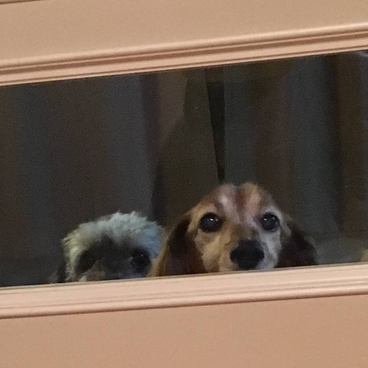 36cf2535 8a31 4f1e add0 0cbafb7b3f77