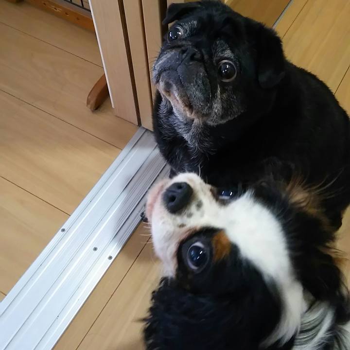 36cf9431 bed9 4515 a86b 7ea00a3c2e36