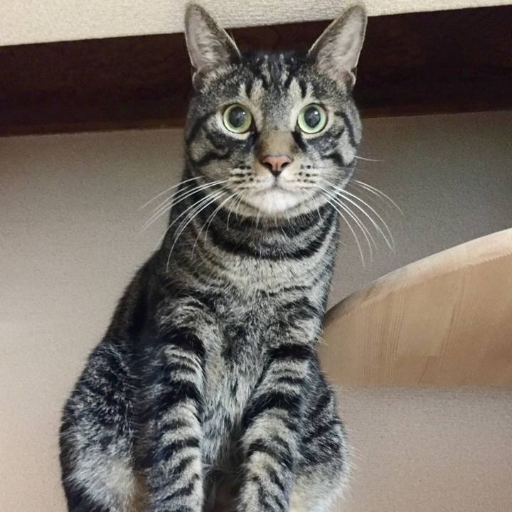 36d021c0 7e1f 42c0 871d e1d77620d515