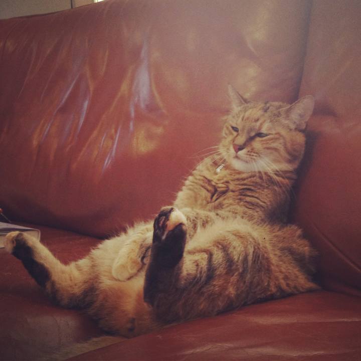 36d0243f 7cfe 4a4a bf98 57d367da340f