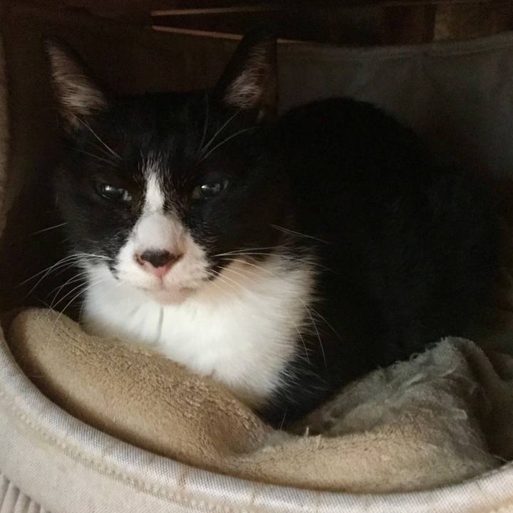 36d07017 7471 4a21 9071 cb63428f1da4