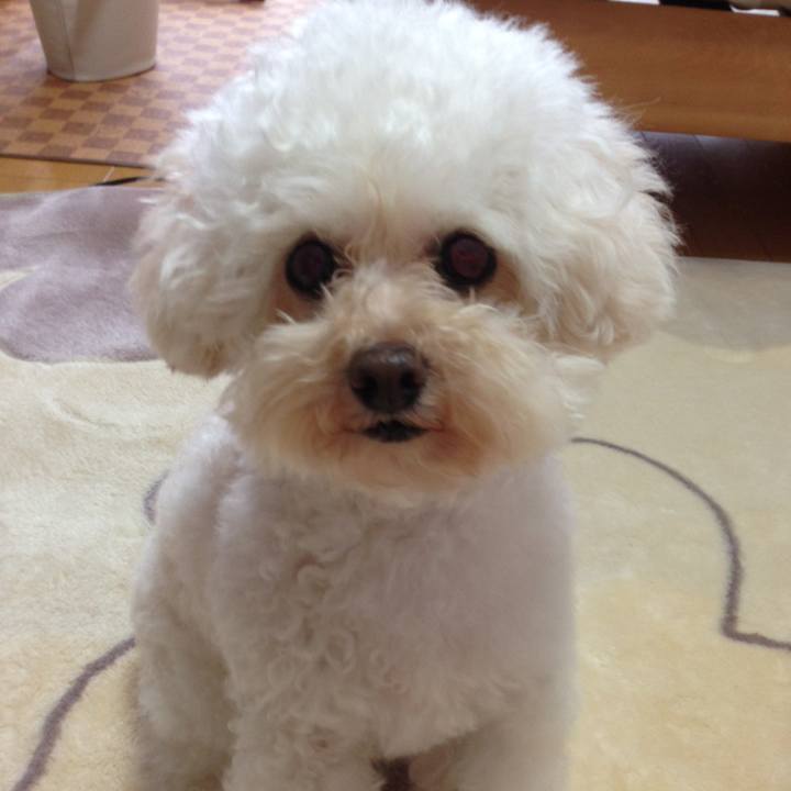 36d07eb0 c133 4ae6 9d28 a0af8f65cac8