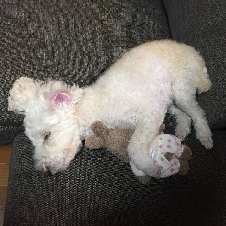 36d08ecb 594a 4cca bd9e 3d6bf9678843