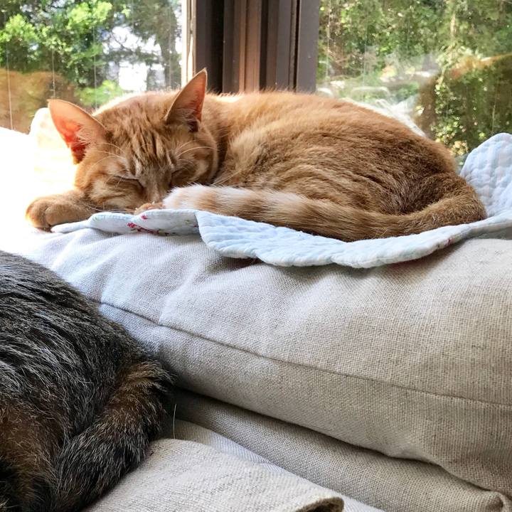 36d0f926 855a 4436 a831 feed5444f5a3