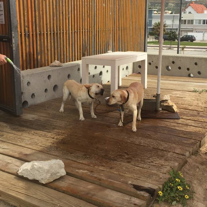 36d12b04 a5af 41e1 84b6 e8c5605c8f76