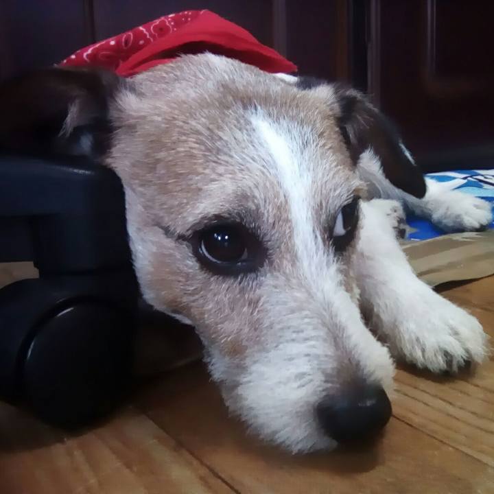 36d25768 c541 47ba ae37 172816c99a89