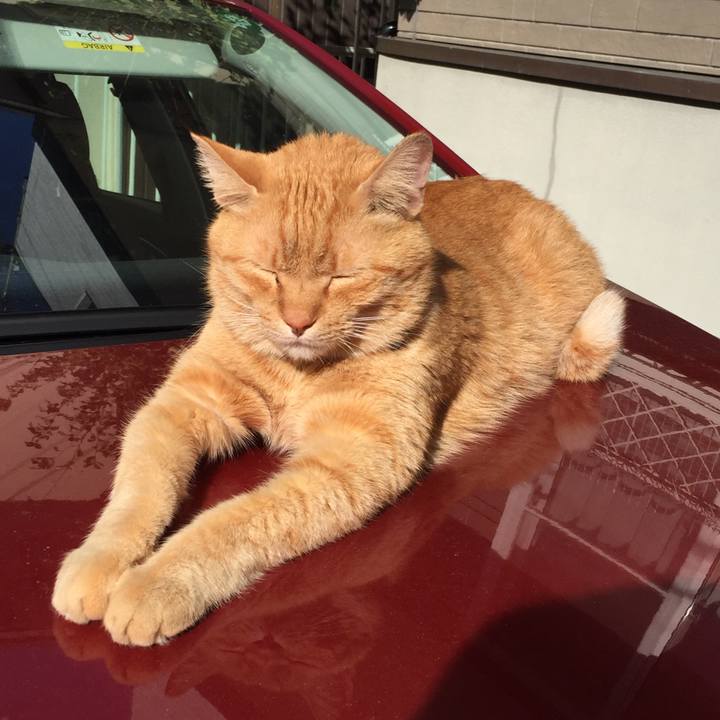 36d2b668 4270 4768 8a7e fec52e51f04d