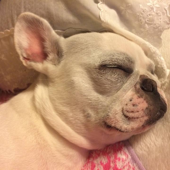 36d4057d a1a4 41e6 b44c 654dd30fd917