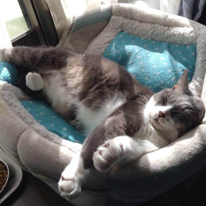 36d410cc 5d55 45b5 9999 9662b47cf52f