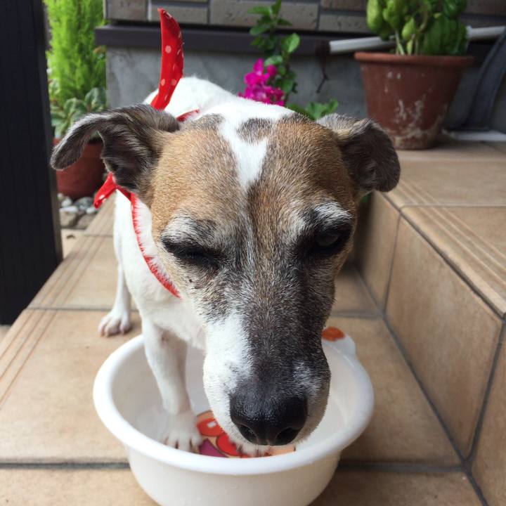 36d4a355 2ef0 4b5e 83a7 2130f3742667