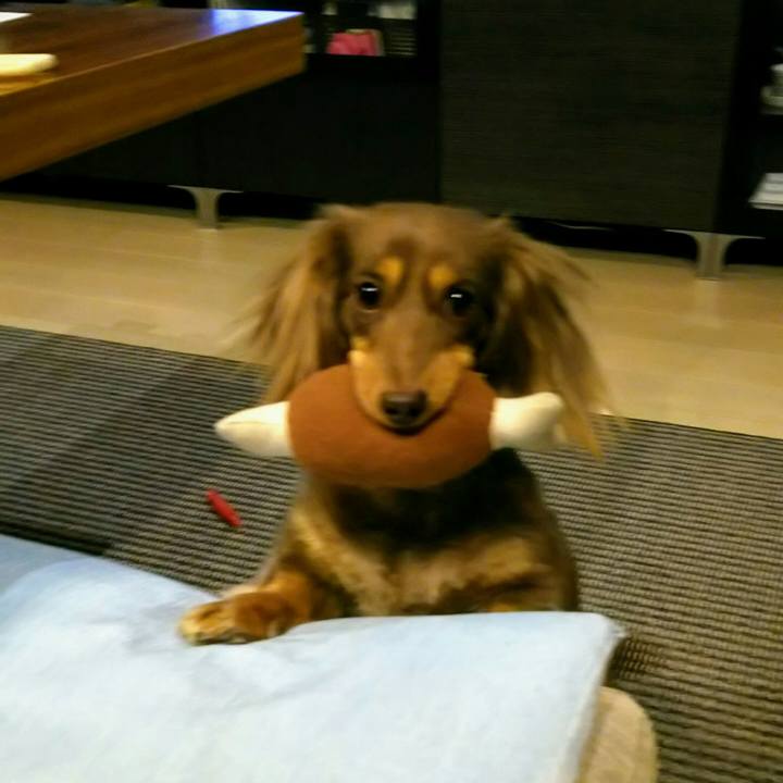 36d5345d 86ce 4813 902a 0c92fae7d81a