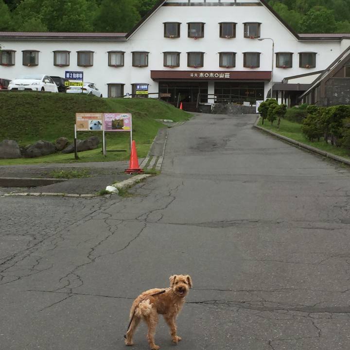 36d5e61e e74b 462b adfe b635add2a4df