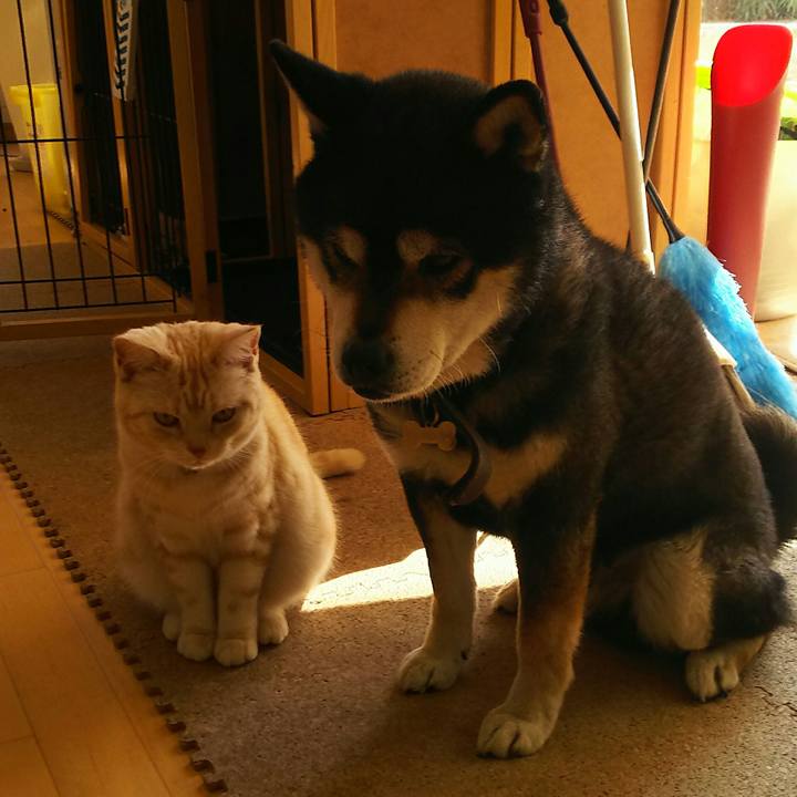 36d5e6cd e564 4eb5 83e7 508fa8b07bdf