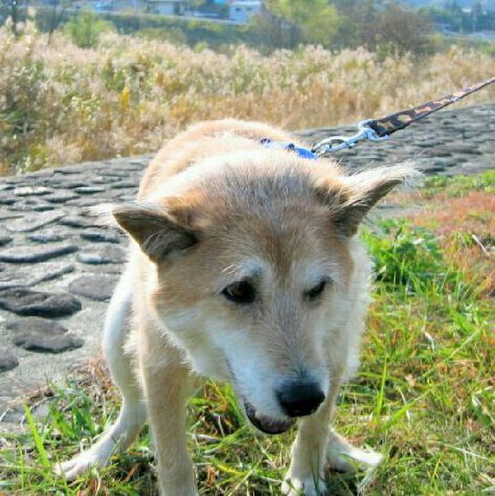 36d60d5d 0d53 4b6e acc0 2151fbbbc3d2