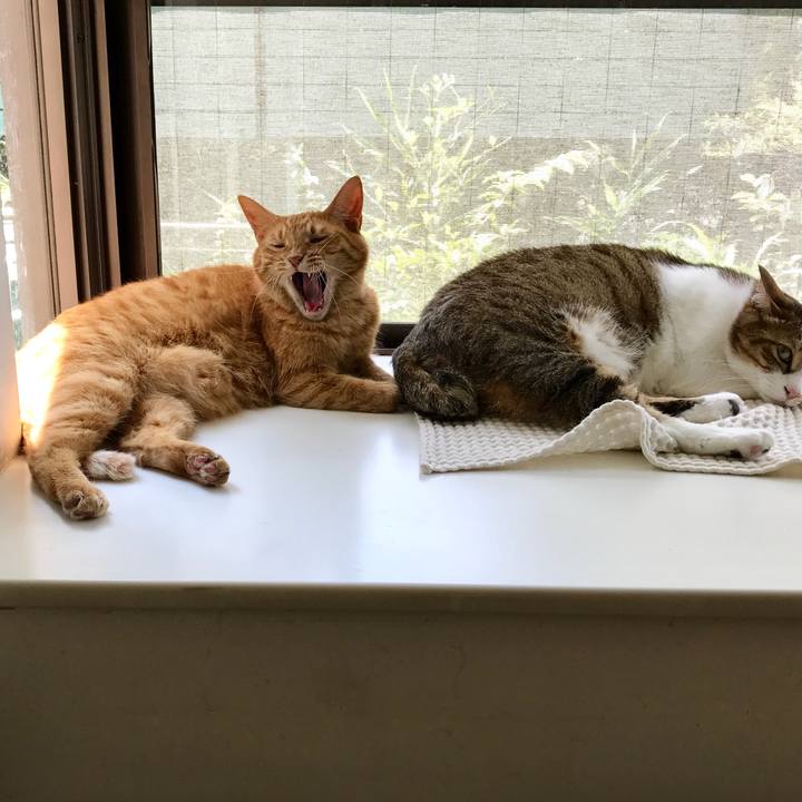 36d63e19 e458 4f4c 816f 8b9b006ed525