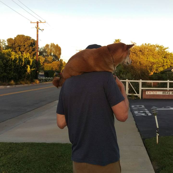 36d69d62 4e62 4b67 a84a b8c395d7dca9