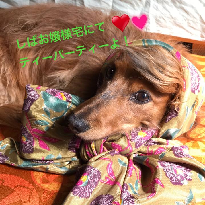 36d725ba 6987 42ae 9b1e dc8999215579