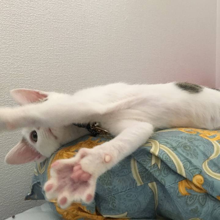 36d73ea4 7b77 4bde b9d4 5faecb2e87d5