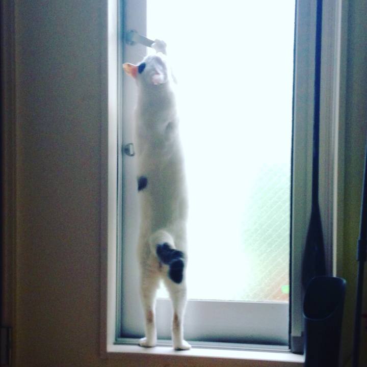 36d8a74c 1c72 41e3 ac64 d8901b7943ec