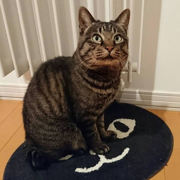 36d90f1e 1f05 4627 90e5 849e2ce2af47