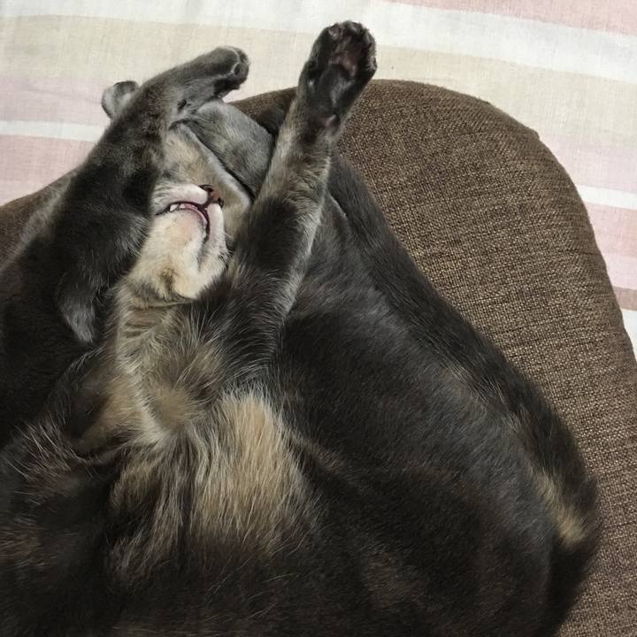 36da2215 2d2c 424d 8644 0591f588418b