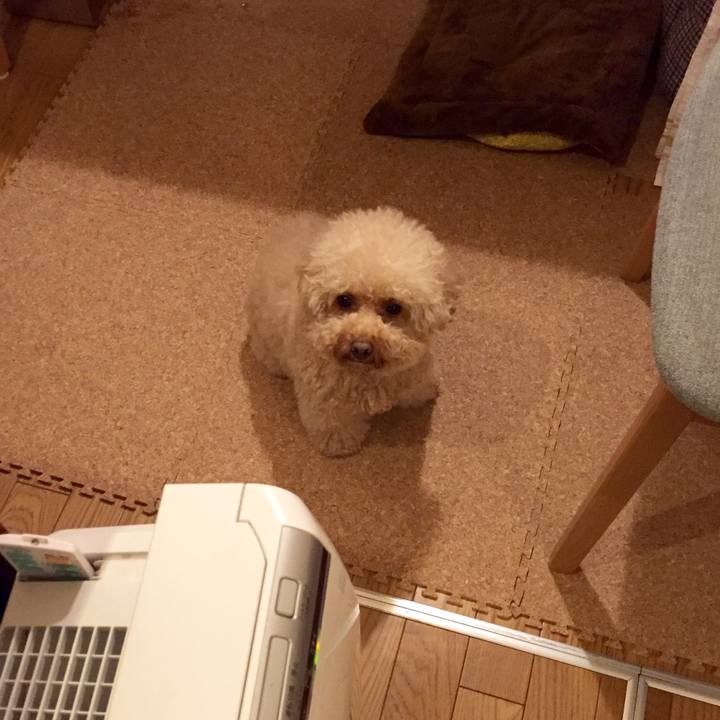 36da2cf2 03d9 4119 a97d 65bb7b16de67