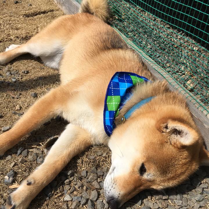 36da5c32 a1f3 4d67 9a4f 91652908396e