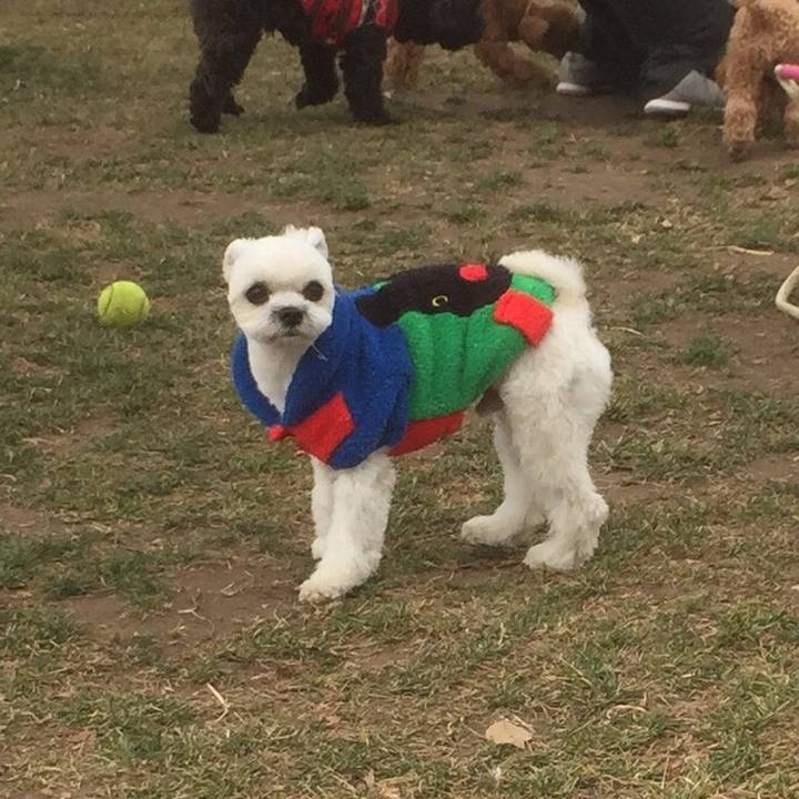 36da7d4a ffd5 48ea 8913 41678c315984