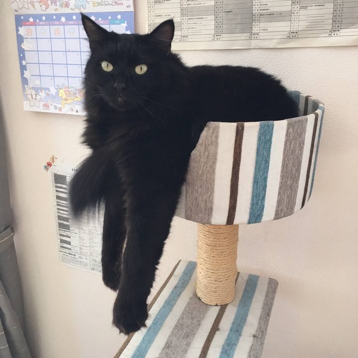 36dade62 cadb 4af6 bc94 bb2153d8ac0c