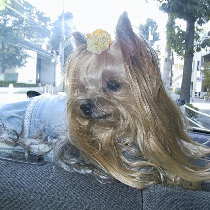 36dc11e2 6c06 4115 ac35 d52a65523937