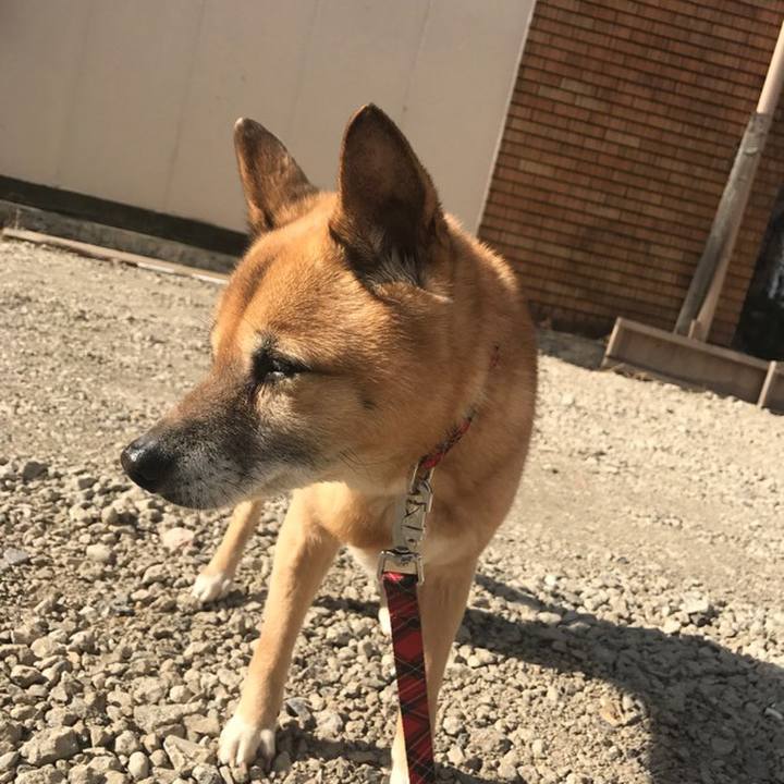 36dc6ab2 1ffb 49ed 95d1 30506de5b5b7