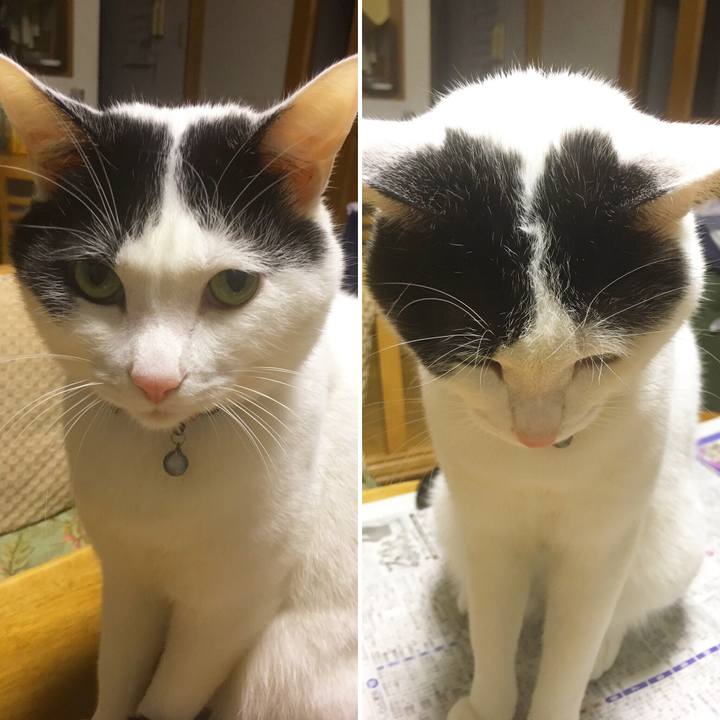 36dcc7ee 9f77 43a5 a0ae 2b75aa36d341