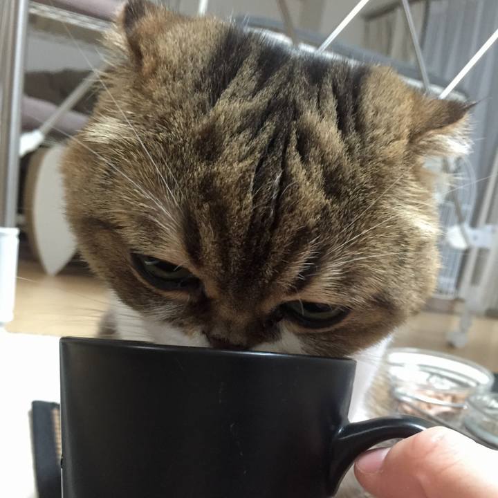 36dce77c 88e8 4953 828f e8487676f009