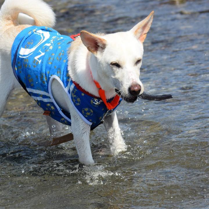 36dcf67b f4dc 433e b148 99dbe1085d20