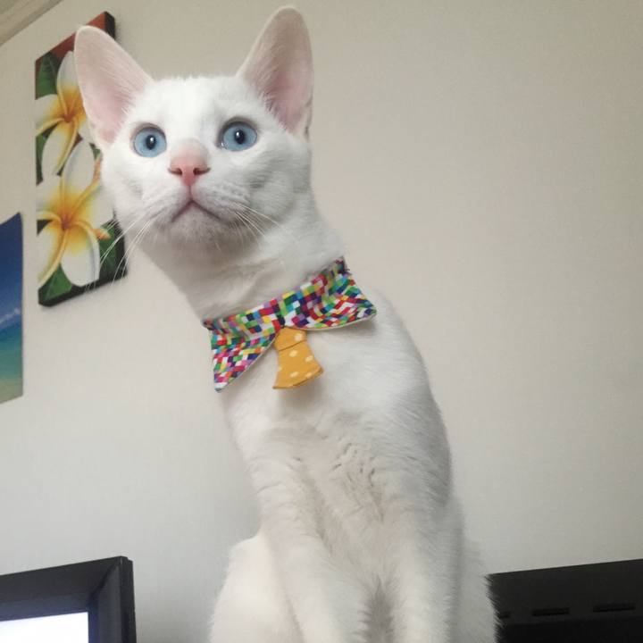 36de2767 4bf9 423f 807d 872bcc068357