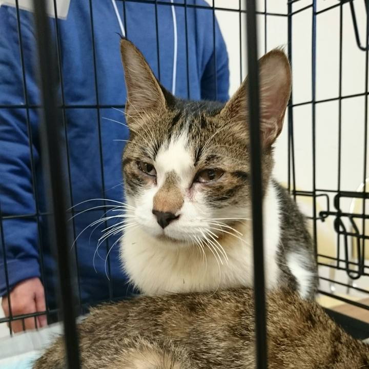 36dea4f7 75d4 405a 9157 3c6eb416db91