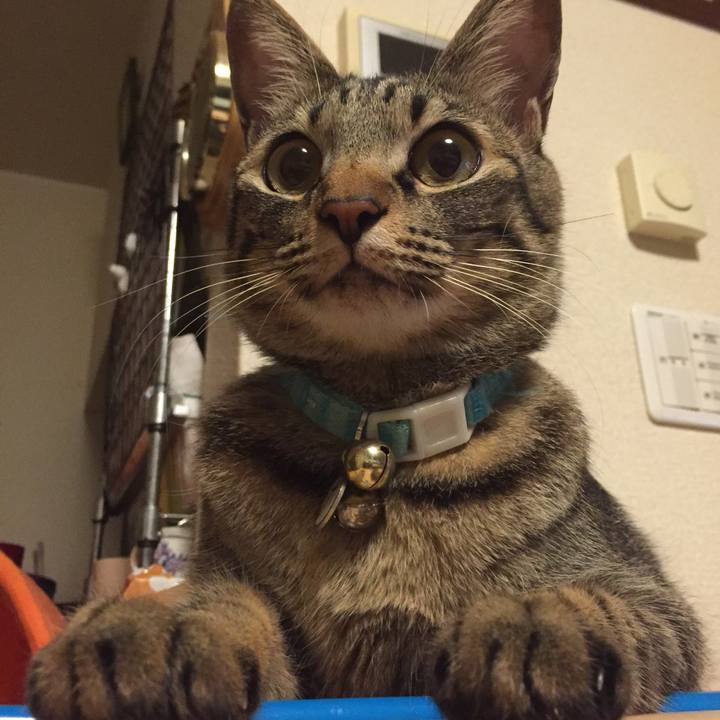 36dfa8d3 542f 4d17 9eea 72373d9d3c55