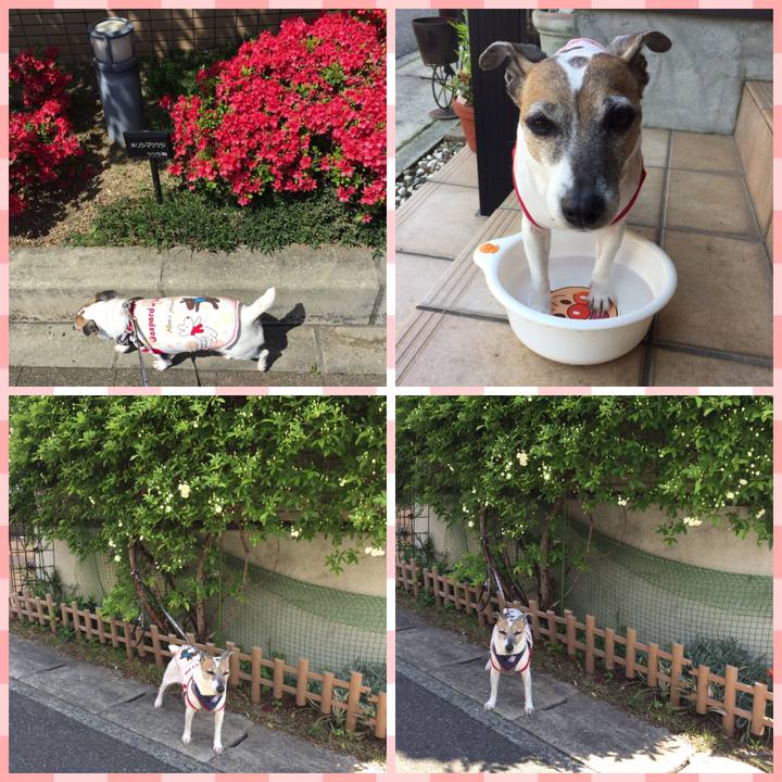 36e01b1f 63f1 4a0a 8e28 2efb8ae7d125