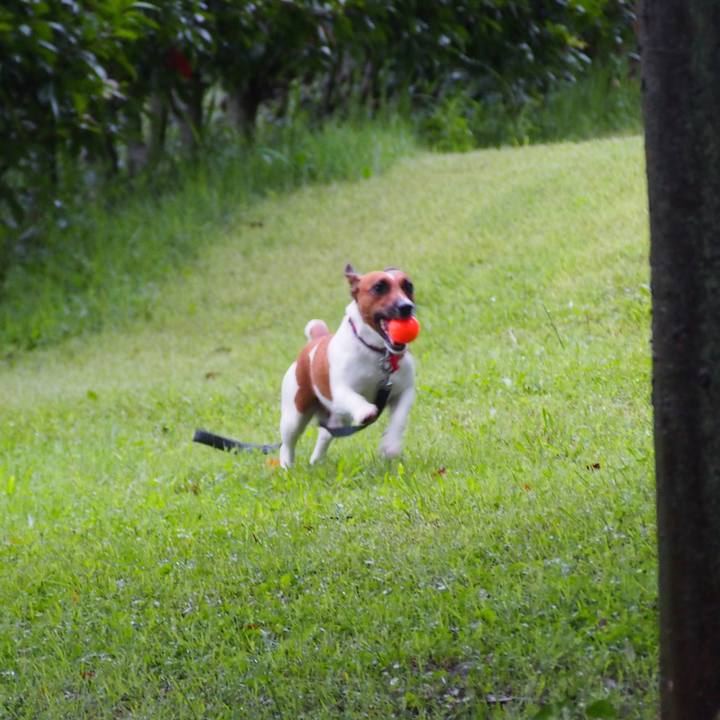 36e10abc 1ffa 4a61 af10 d70afc7ee4a8