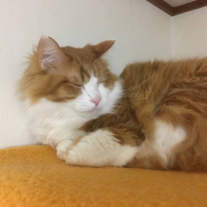 36e1d491 51b4 4b81 8e68 a5cbc8c572a0